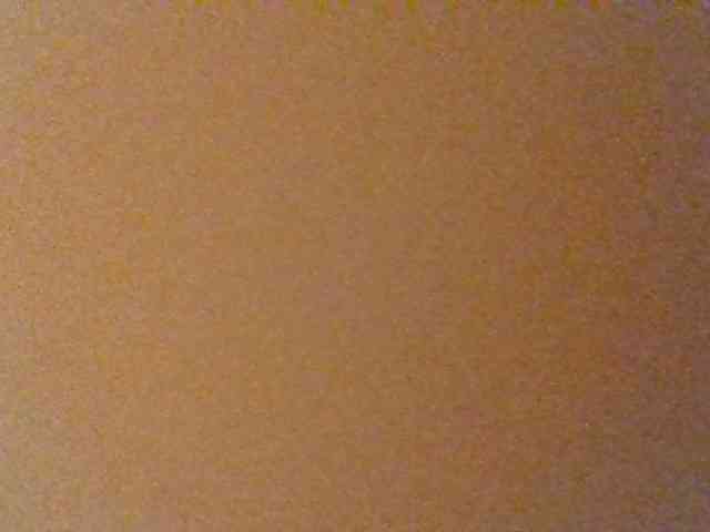 Kittydew webcam