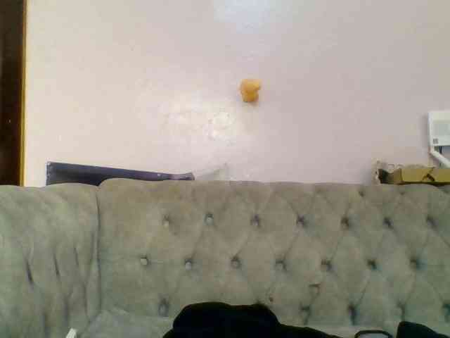 Kittydew webcam