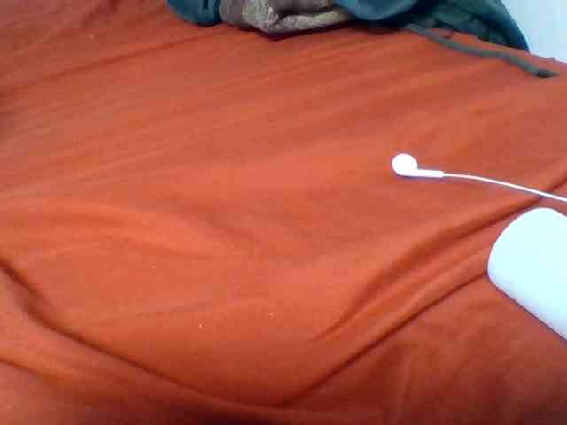 Kittydew
