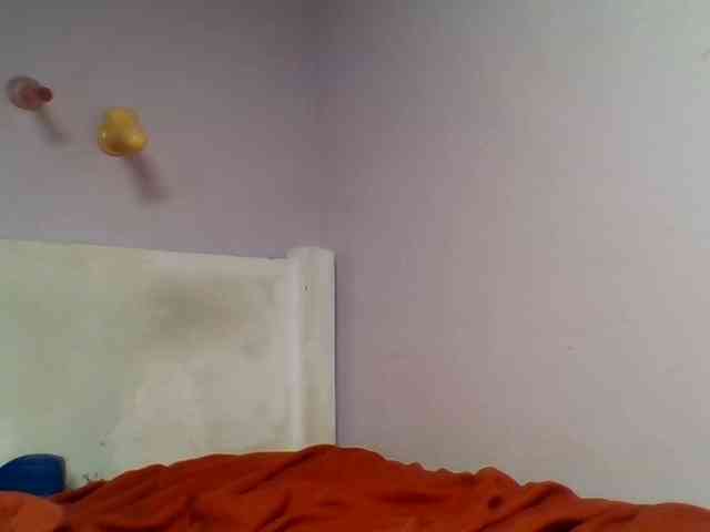 Kittydew webcam