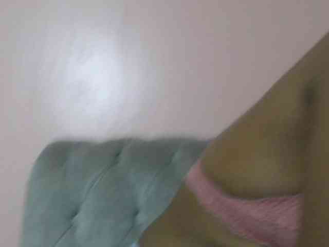 Kittydew webcam