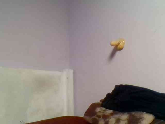 Kittydew webcam