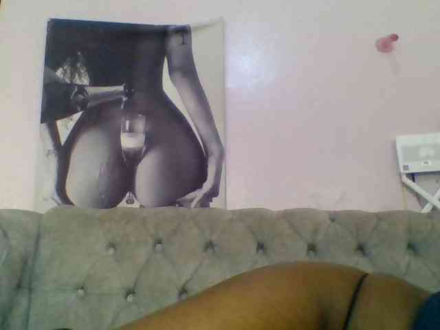 Kittydew webcam