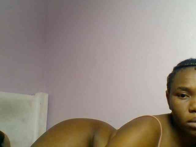 Kittydew webcam