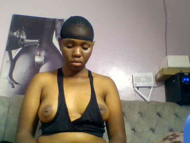Kittydew webcam