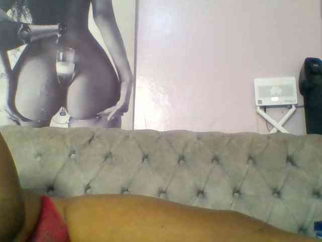 Kittydew webcam