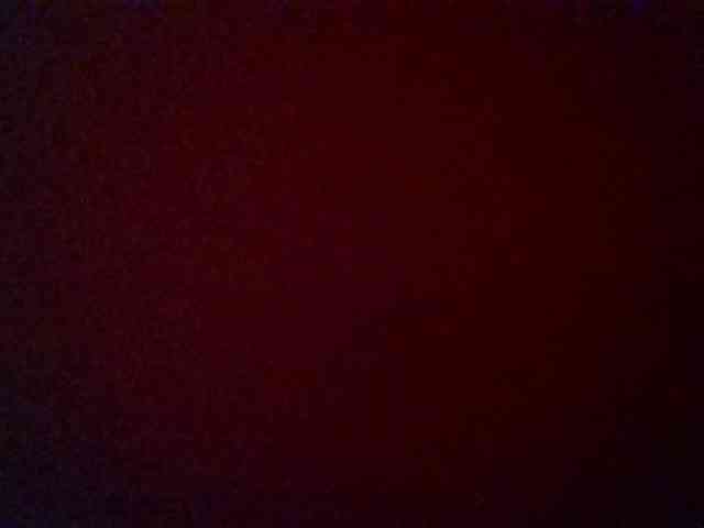 Kittydew webcam