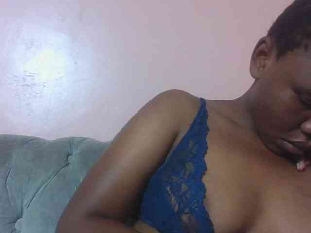 Kittydew webcam