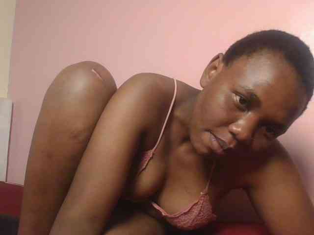 Kittydew webcam