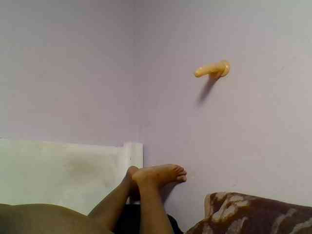 Kittydew webcam