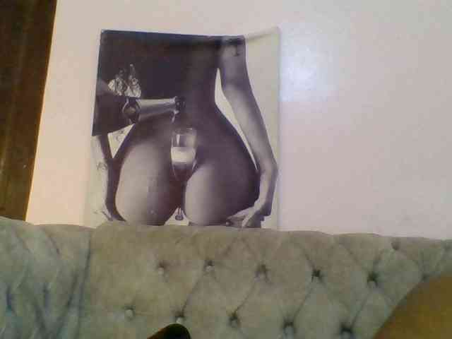 Kittydew webcam