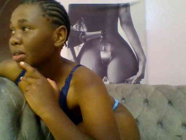 Kittydew webcam