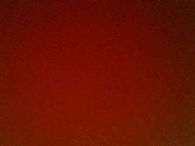 Kittydew webcam