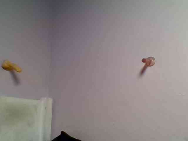 Kittydew webcam