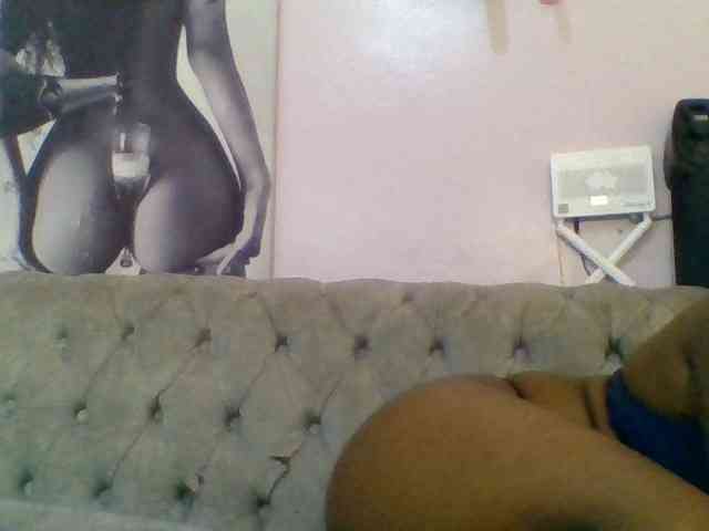 Kittydew webcam