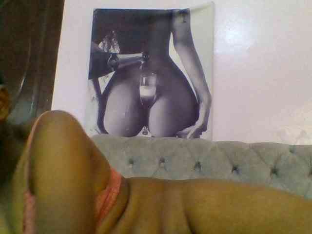 Kittydew webcam