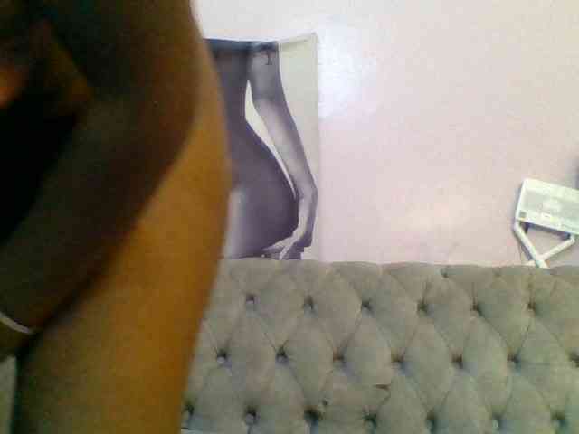 Kittydew webcam