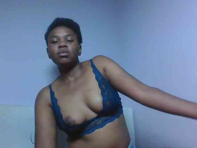 Kittydew webcam