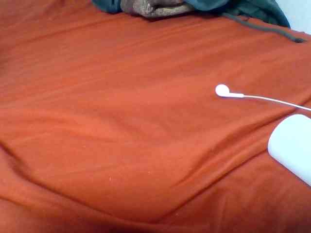 Kittydew webcam