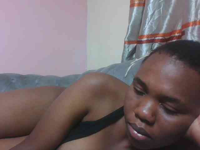 Kittydew webcam