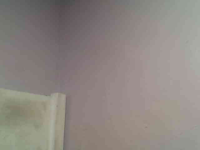 Kittydew webcam