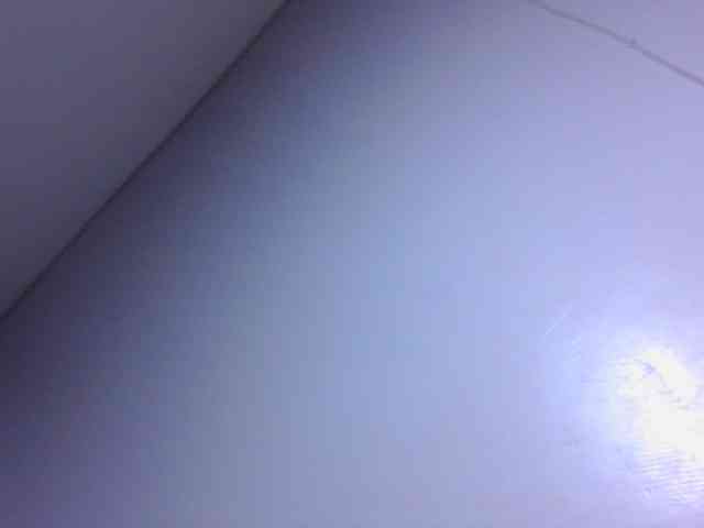 Kittydew webcam