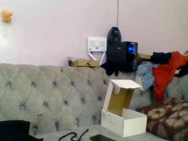 Kittydew webcam