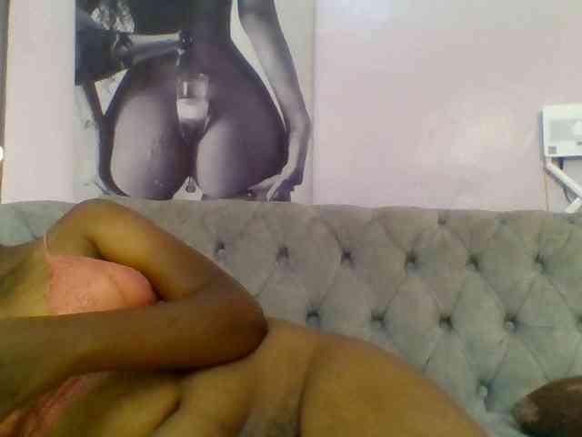 Kittydew webcam