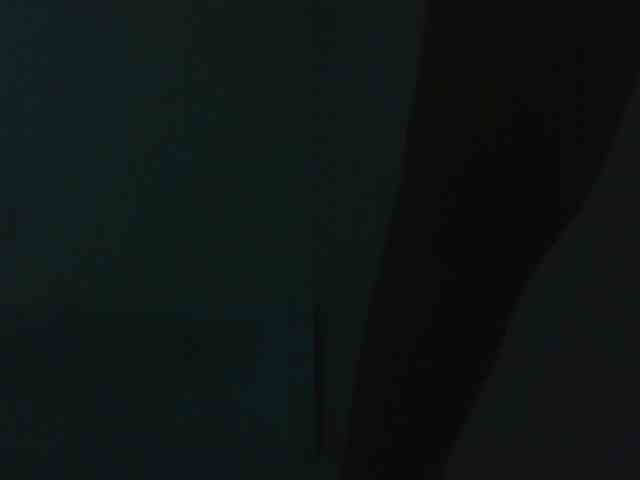 Kittydew webcam