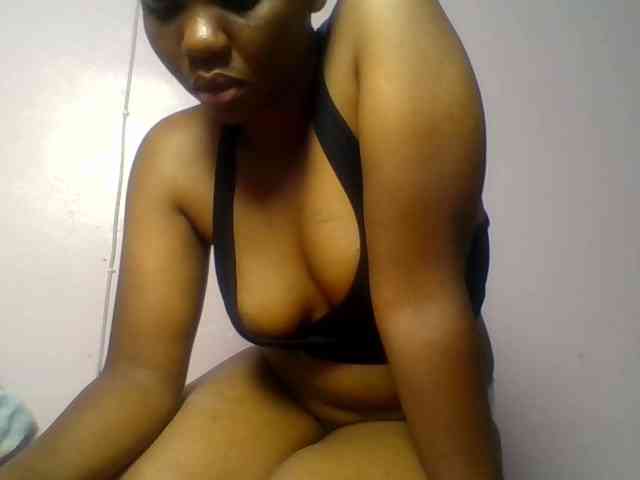 Model: Kittydew