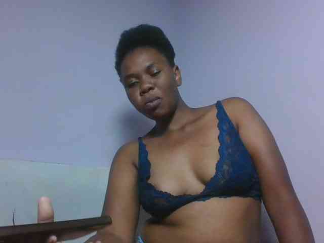 Kittydew webcam