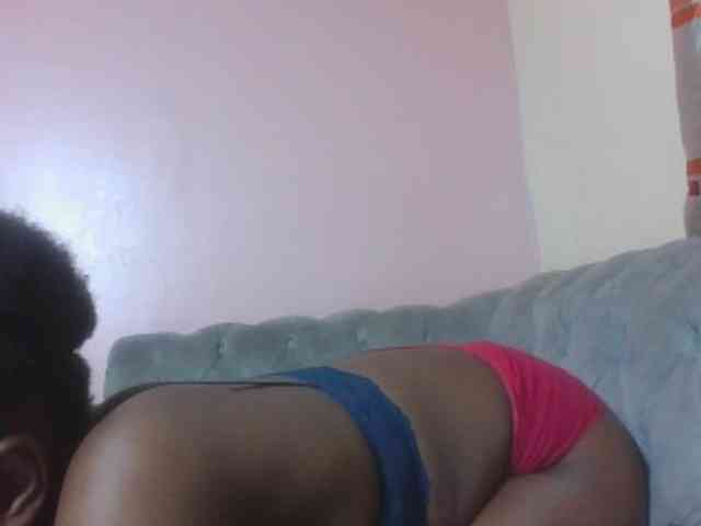 Kittydew webcam