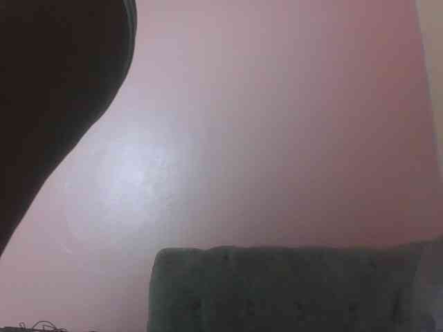 Kittydew webcam