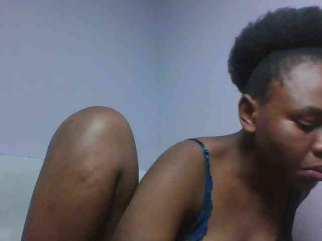 Kittydew webcam