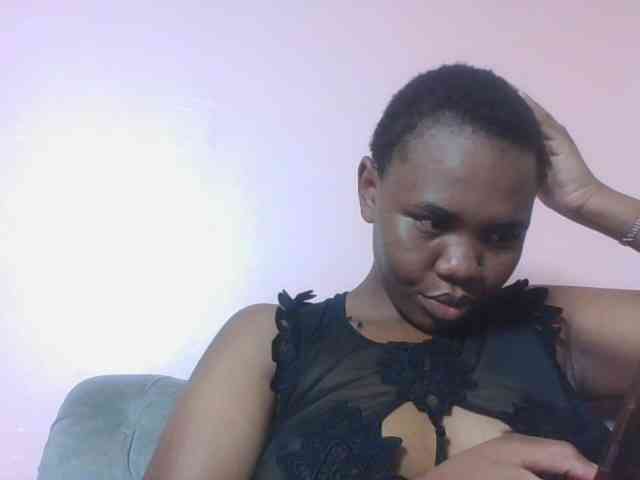 Kittydew webcam