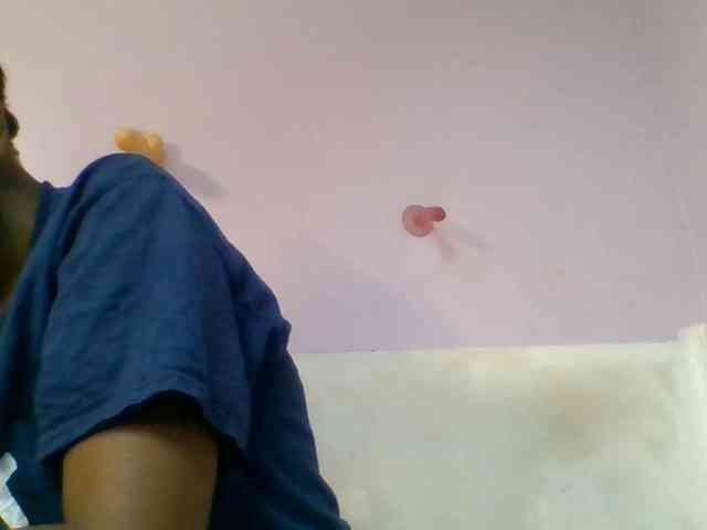 Kittydew webcam