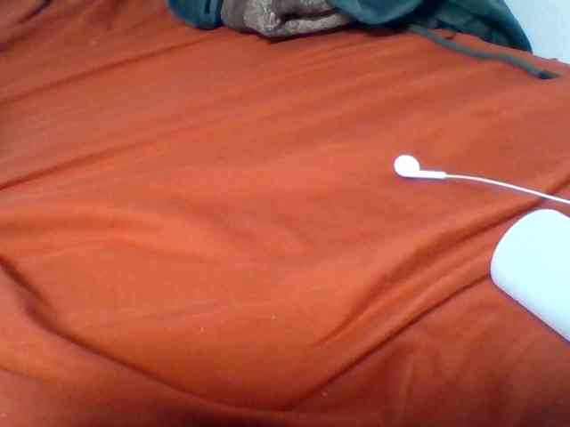 Kittydew webcam