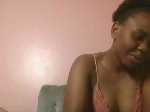 Kittydew webcam