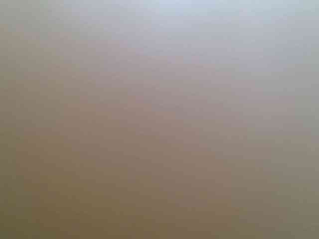Kittydew webcam