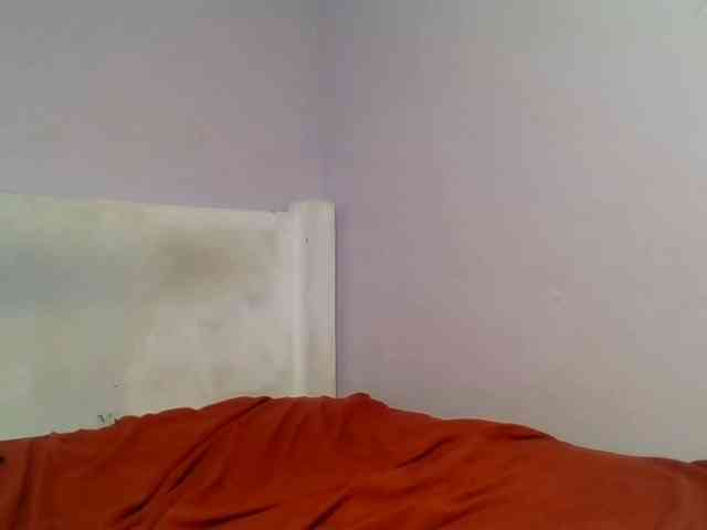 Kittydew webcam