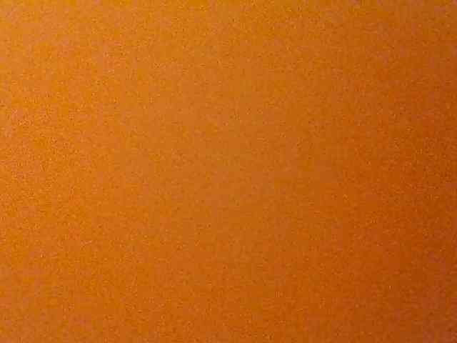 Kittydew webcam