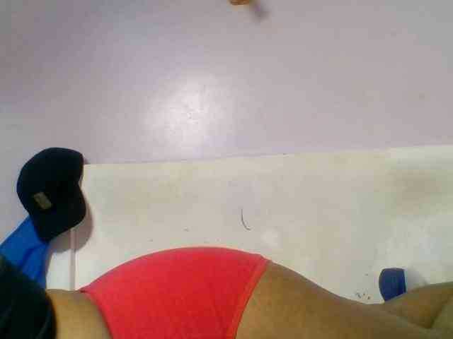 Kittydew webcam