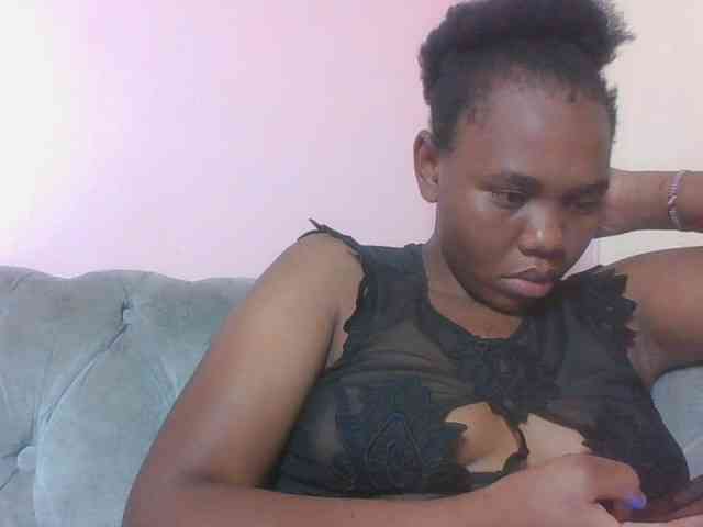 Kittydew webcam