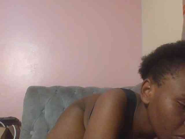 Kittydew webcam