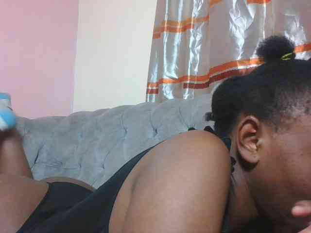 Kittydew webcam