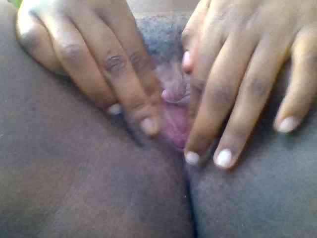 Kittydew webcam