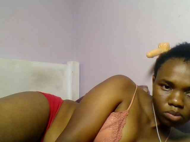 Kittydew webcam