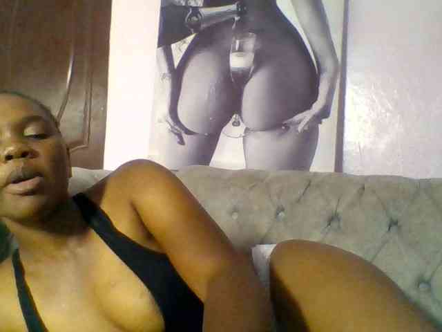 Kittydew webcam