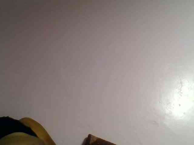 Kittydew webcam