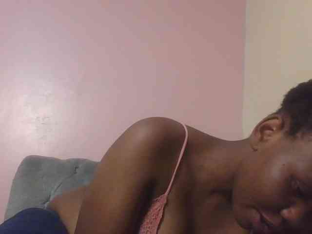 Kittydew webcam